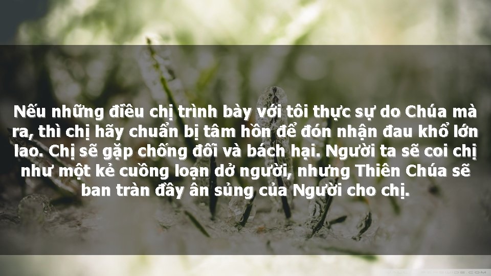 Nếu những điều chị trình bày với tôi thực sự do Chúa mà ra,