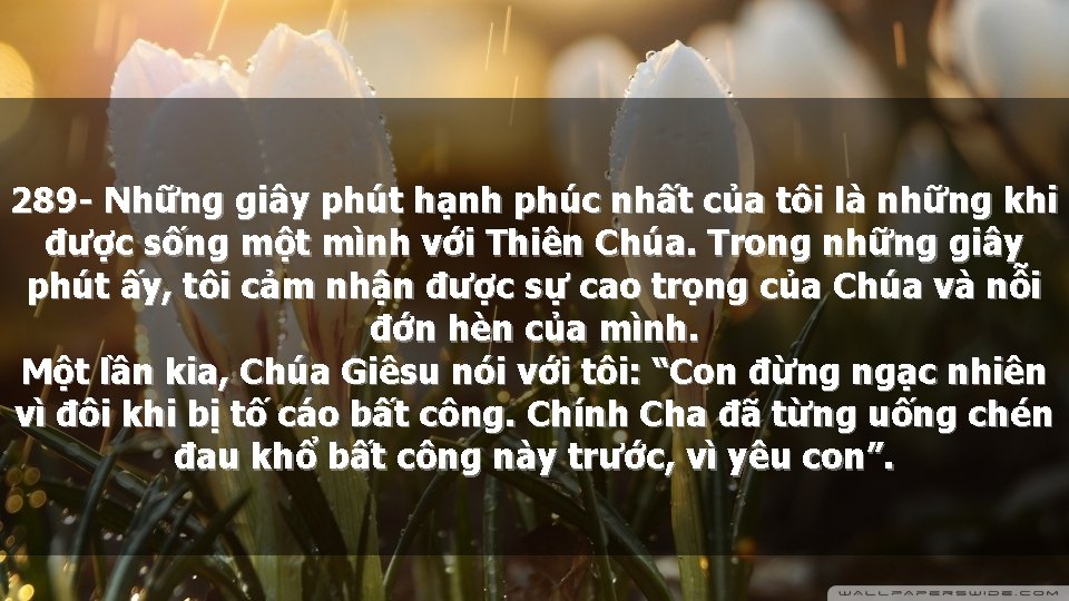 289 - Những giây phút hạnh phúc nhất của tôi là những khi được