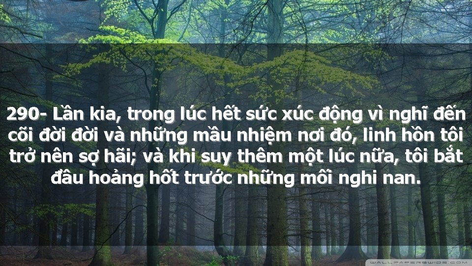 290 - Lần kia, trong lúc hết sức xúc động vì nghĩ đến cõi