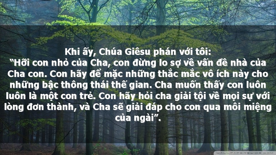 Khi ấy, Chúa Giêsu phán với tôi: “Hỡi con nhỏ của Cha, con đừng