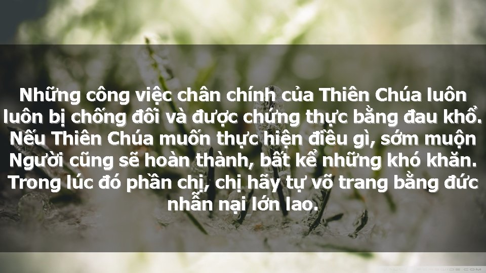 Những công việc chân chính của Thiên Chúa luôn bị chống đối và được