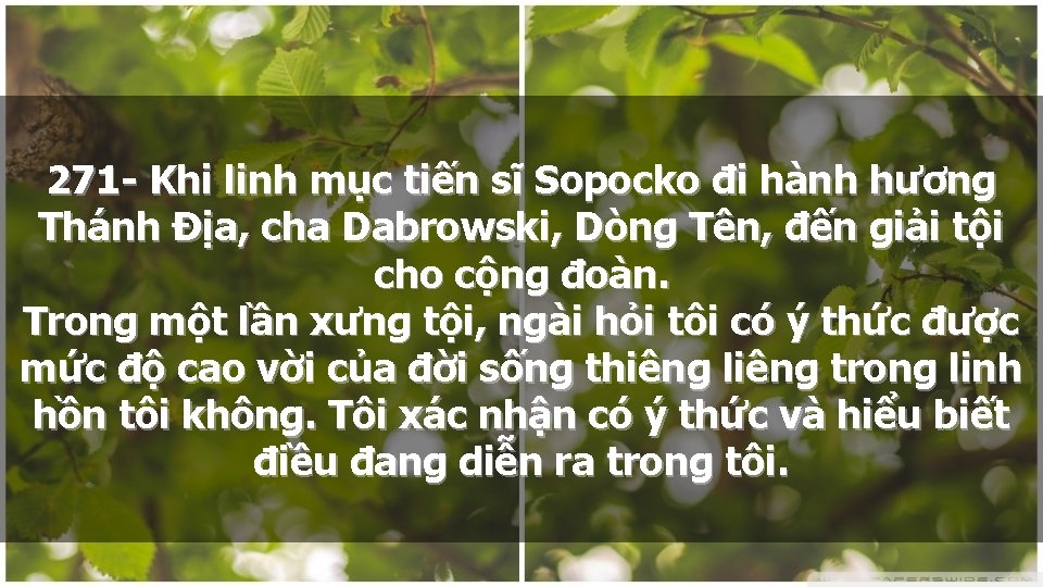 271 - Khi linh mục tiến sĩ Sopocko đi hành hương Thánh Địa, cha