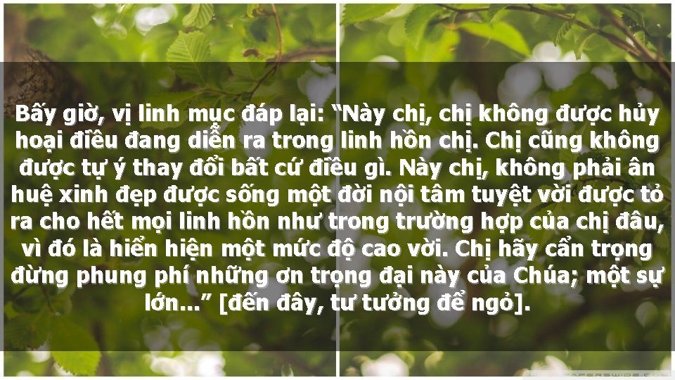 Bấy giờ, vị linh mục đáp lại: “Này chị, chị không được hủy hoại