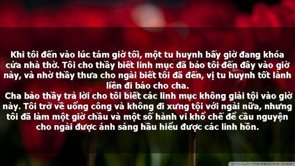 Khi tôi đến vào lúc tám giờ tối, một tu huynh bấy giờ đang