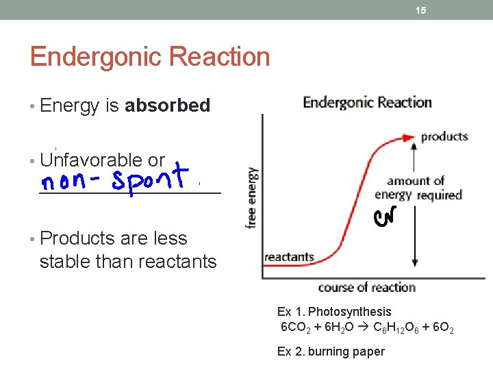 15 Endergonic Reaction • Energy is absorbed • Unfavorable or _________ • Products are