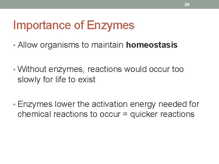 25 Importance of Enzymes • Allow organisms to maintain homeostasis • Without enzymes, reactions