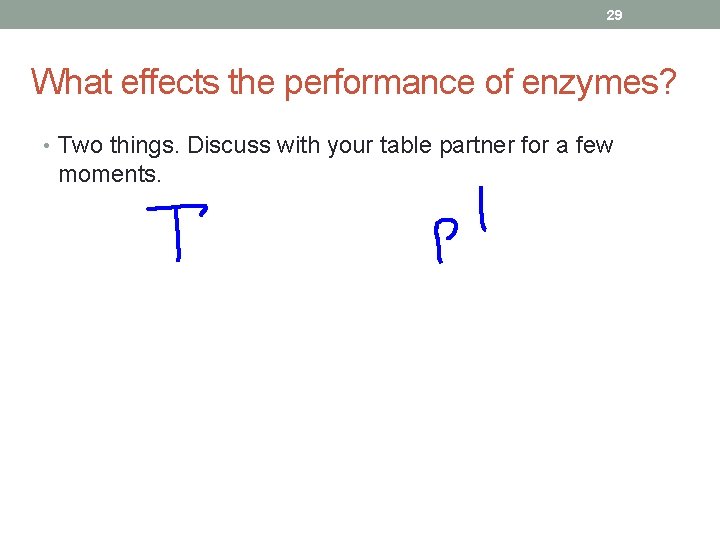 29 What effects the performance of enzymes? • Two things. Discuss with your table