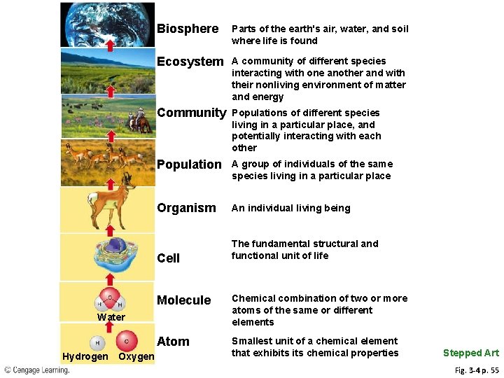 Biosphere Parts of the earth's air, water, and soil where life is found Ecosystem Biosphere Parts of the earth's air, water, and soil where life is found Ecosystem