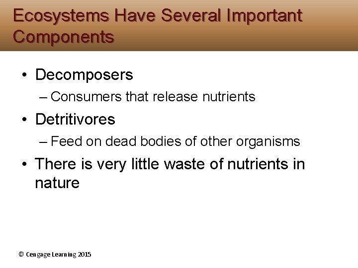 Ecosystems Have Several Important Components • Decomposers – Consumers that release nutrients • Detritivores Ecosystems Have Several Important Components • Decomposers – Consumers that release nutrients • Detritivores
