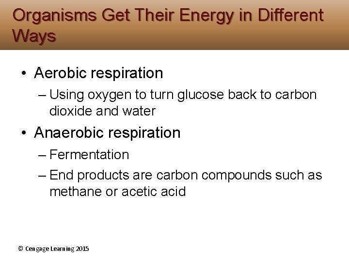 Organisms Get Their Energy in Different Ways • Aerobic respiration – Using oxygen to Organisms Get Their Energy in Different Ways • Aerobic respiration – Using oxygen to