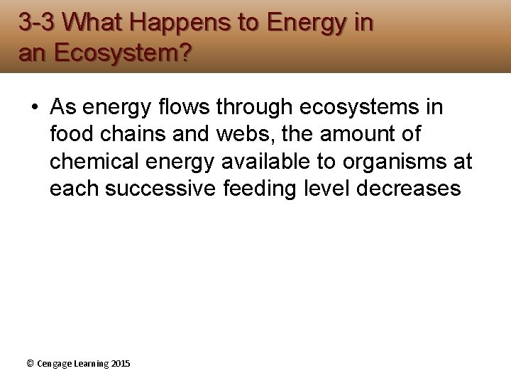 3 -3 What Happens to Energy in an Ecosystem? • As energy flows through 3 -3 What Happens to Energy in an Ecosystem? • As energy flows through