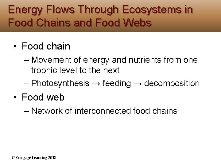 Energy Flows Through Ecosystems in Food Chains and Food Webs • Food chain – Energy Flows Through Ecosystems in Food Chains and Food Webs • Food chain –