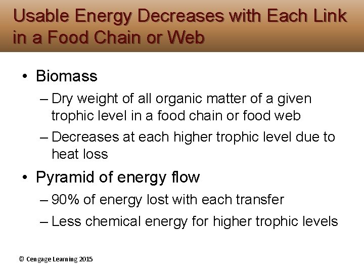 Usable Energy Decreases with Each Link in a Food Chain or Web • Biomass Usable Energy Decreases with Each Link in a Food Chain or Web • Biomass