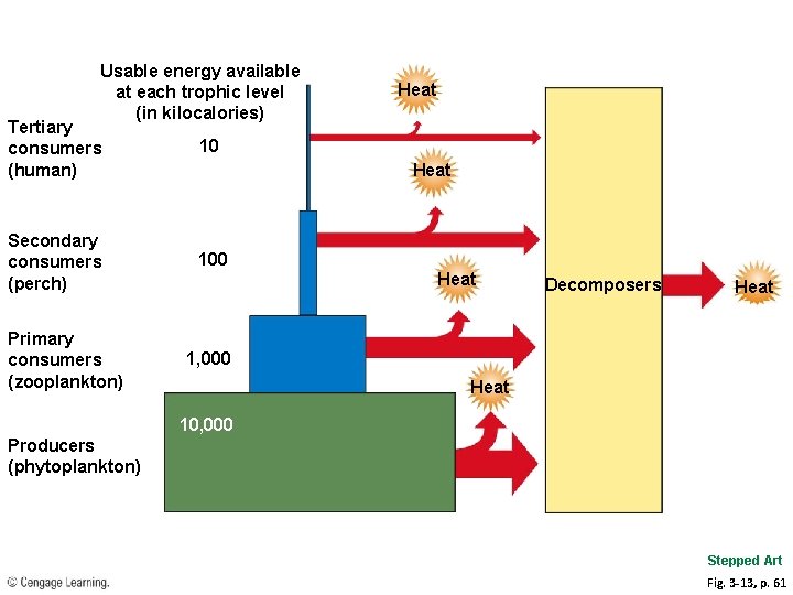 Usable energy available at each trophic level (in kilocalories) Tertiary consumers (human) 10 Secondary Usable energy available at each trophic level (in kilocalories) Tertiary consumers (human) 10 Secondary