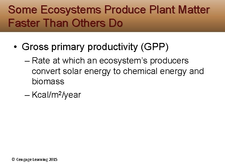 Some Ecosystems Produce Plant Matter Faster Than Others Do • Gross primary productivity (GPP) Some Ecosystems Produce Plant Matter Faster Than Others Do • Gross primary productivity (GPP)