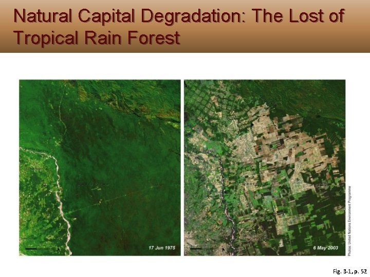 Natural Capital Degradation: The Lost of Tropical Rain Forest Fig. 3 -1, p. 52 Natural Capital Degradation: The Lost of Tropical Rain Forest Fig. 3 -1, p. 52