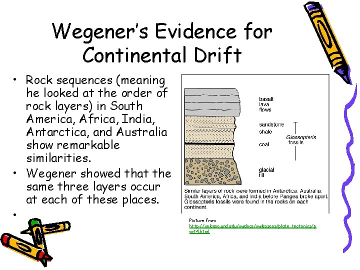 Wegener’s Evidence for Continental Drift • Rock sequences (meaning he looked at the order
