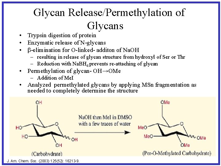 Glycan Release/Permethylation of Glycans • Trypsin digestion of protein • Enzymatic release of N-glycans