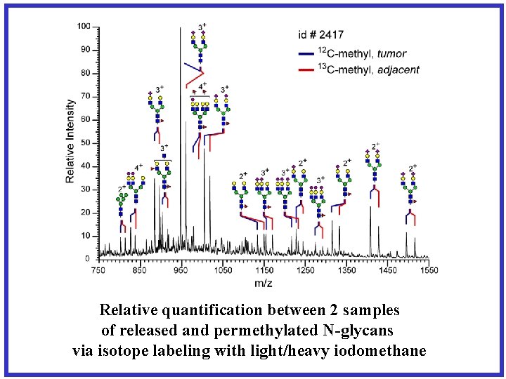 Relative quantification between 2 samples of released and permethylated N-glycans via isotope labeling with