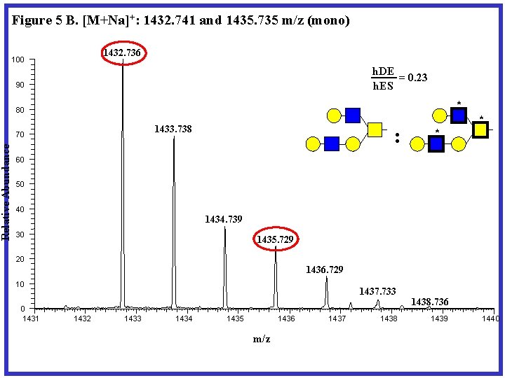 Relative Abundance Figure 5 B. [M+Na]+: 1432. 741 and 1435. 735 m/z (mono) 1432.