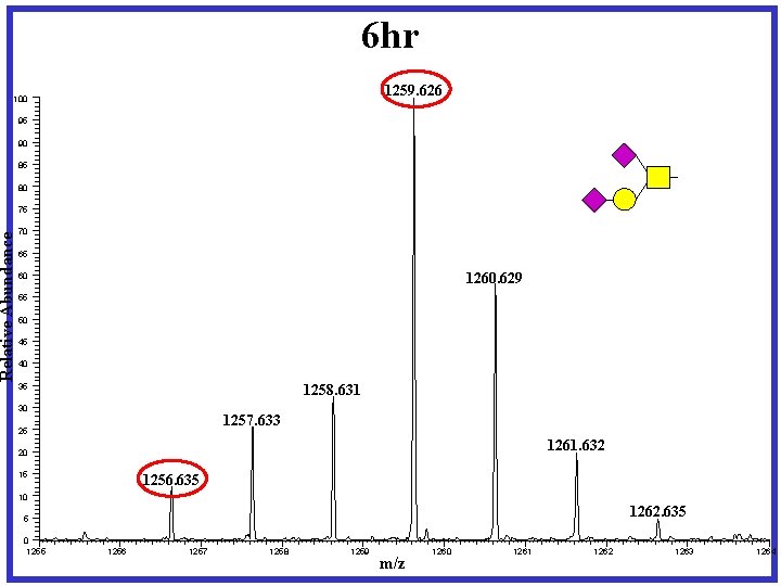 6 hr 1259. 626 Relative Abundance 100 95 90 85 80 75 70 65