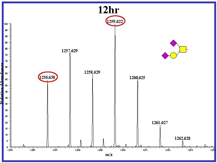 12 hr 1259. 622 Relative Abundance 100 95 90 85 80 1257. 629 75