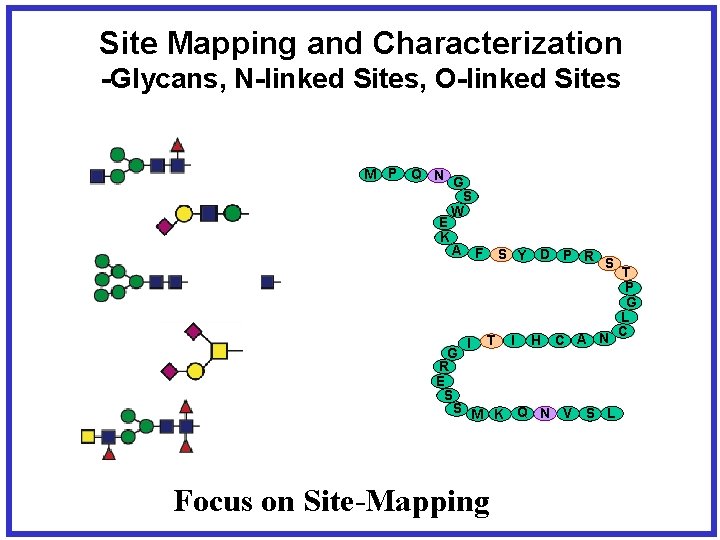 Site Mapping and Characterization -Glycans, N-linked Sites, O-linked Sites M P Q N G