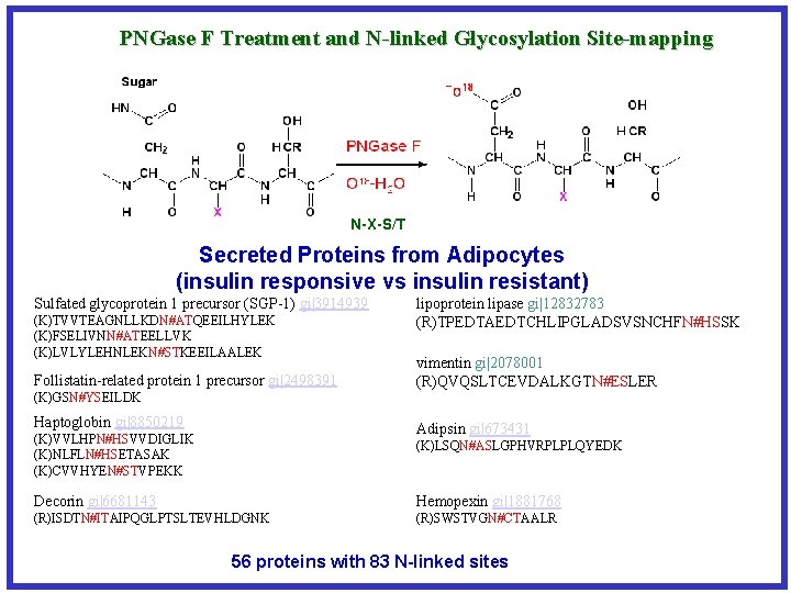 PNGase F Treatment and N-linked Glycosylation Site-mapping N-X-S/T Secreted Proteins from Adipocytes (insulin responsive