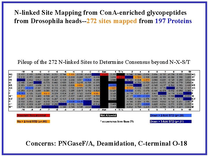 N-linked Site Mapping from Con. A-enriched glycopeptides from Drosophila heads--272 sites mapped from 197