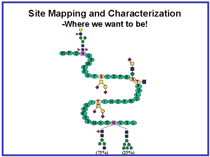 Site Mapping and Characterization -Where we want to be! M P Q N G