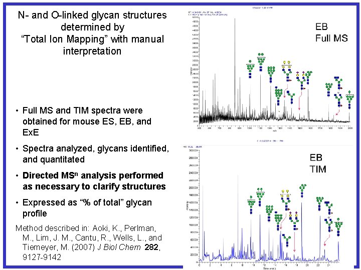 N- and O-linked glycan structures determined by “Total Ion Mapping” with manual interpretation •