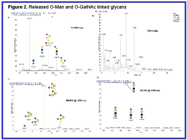 Figure 2. Released O-Man and O-Gal. NAc linked glycans 