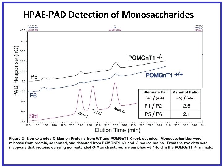 HPAE-PAD Detection of Monosaccharides 