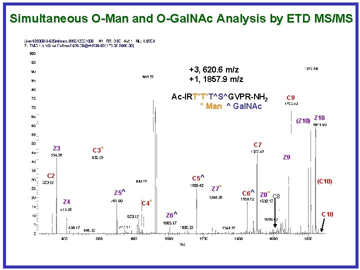 Simultaneous O-Man and O-Gal. NAc Analysis by ETD MS/MS +3, 620. 6 m/z +1,