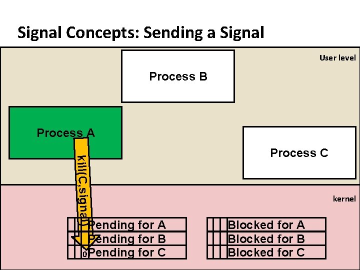 Carnegie Mellon Signal Concepts: Sending a Signal User level Process B Process A kill(C,