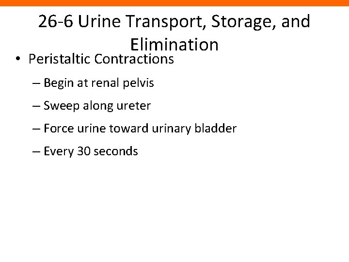 26 -6 Urine Transport, Storage, and Elimination • Peristaltic Contractions – Begin at renal
