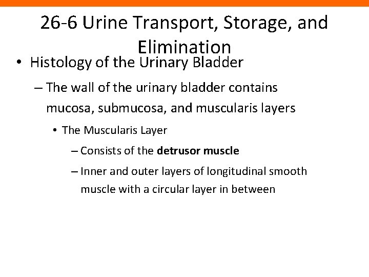 26 -6 Urine Transport, Storage, and Elimination • Histology of the Urinary Bladder –