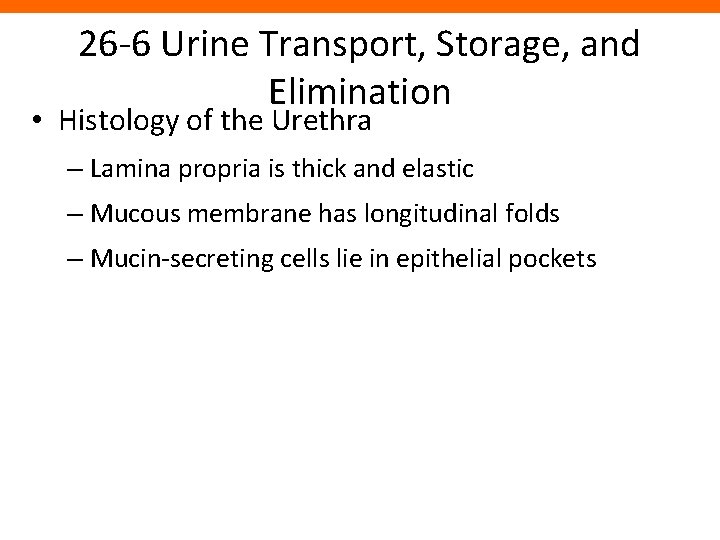 26 -6 Urine Transport, Storage, and Elimination • Histology of the Urethra – Lamina