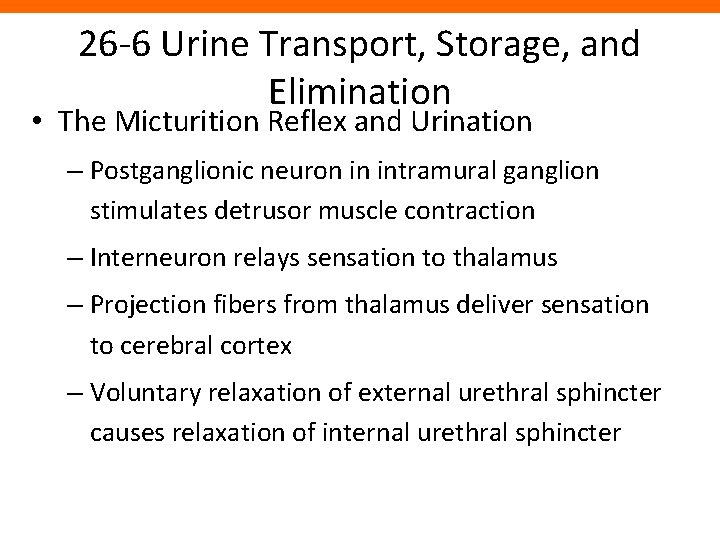26 -6 Urine Transport, Storage, and Elimination • The Micturition Reflex and Urination –