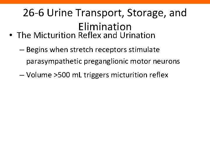 26 -6 Urine Transport, Storage, and Elimination • The Micturition Reflex and Urination –