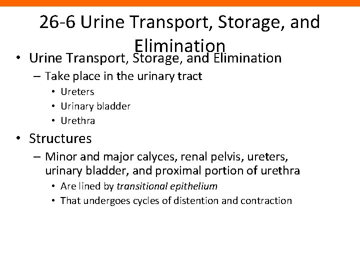 26 -6 Urine Transport, Storage, and Elimination • Urine Transport, Storage, and Elimination –