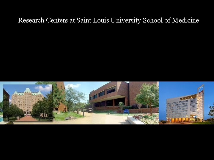 Research Centers at Saint Louis University School of Medicine Foster cross-department collaboration Promote collaborations