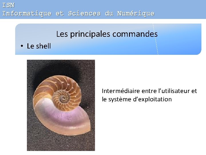 ISN Informatique et Sciences du Numérique Les principales commandes • Le shell Intermédiaire entre