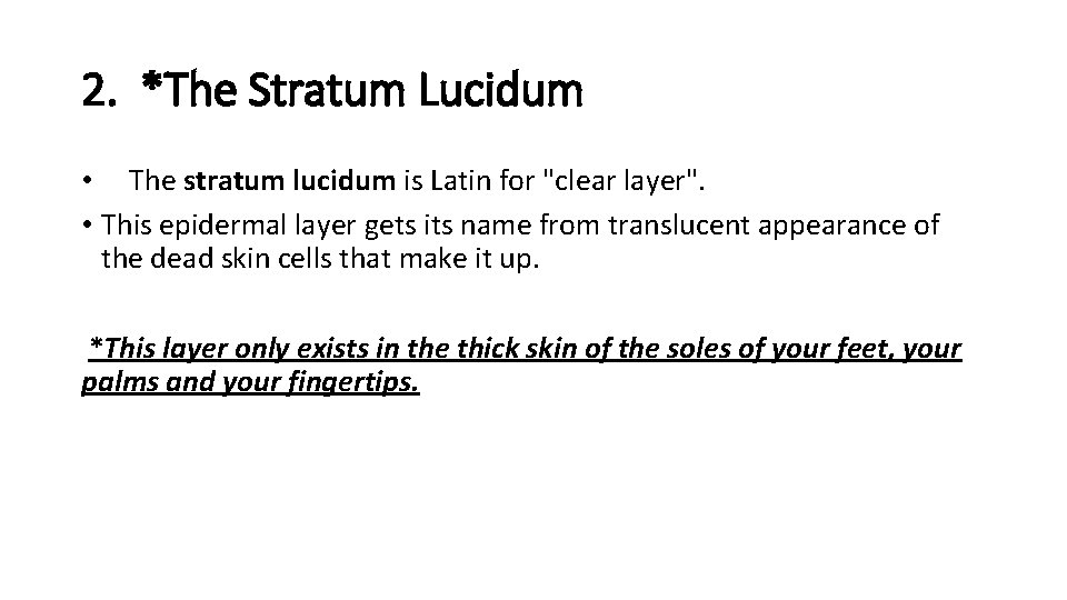 2. *The Stratum Lucidum • The stratum lucidum is Latin for "clear layer". •