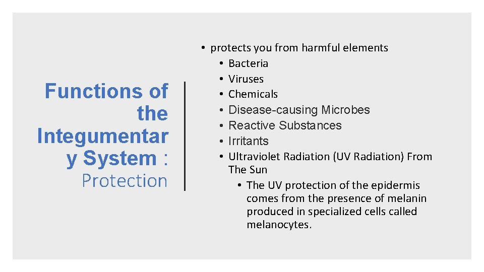 Functions of the Integumentar y System : Protection • protects you from harmful elements