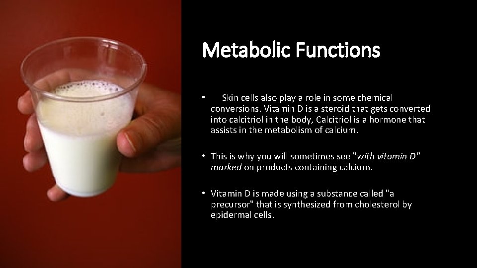 Metabolic Functions • Skin cells also play a role in some chemical conversions. Vitamin