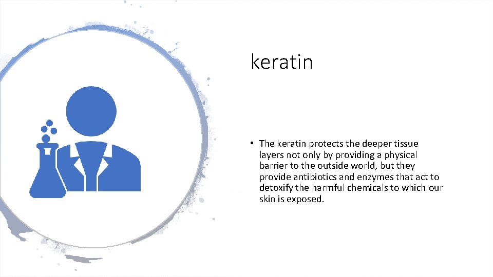 keratin • The keratin protects the deeper tissue layers not only by providing a