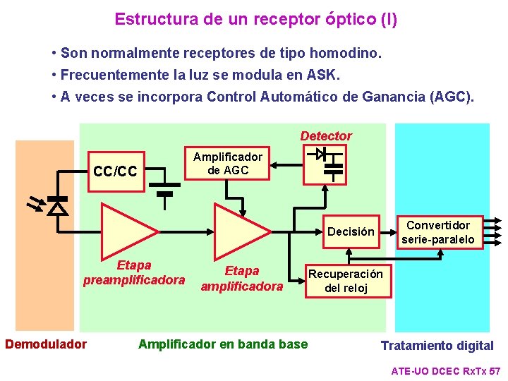 Estructura de un receptor óptico (I) • Son normalmente receptores de tipo homodino. • Estructura de un receptor óptico (I) • Son normalmente receptores de tipo homodino. •