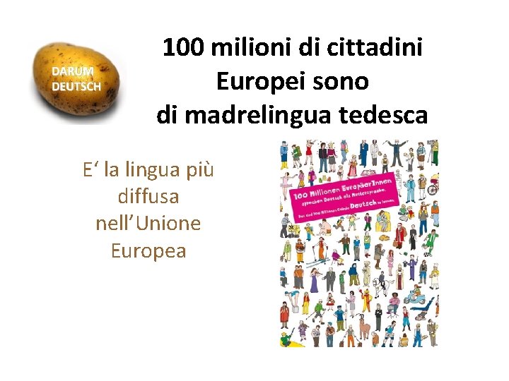 100 milioni di cittadini Europei sono di madrelingua tedesca E‘ la lingua più diffusa