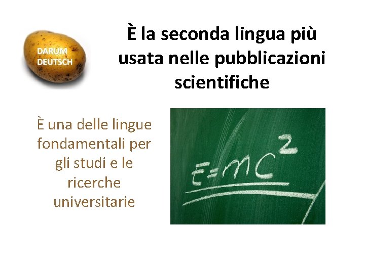 È la seconda lingua più usata nelle pubblicazioni scientifiche È una delle lingue fondamentali